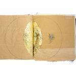 Silla-Guerrini_Libro-d’artista_Vesica-piscis
